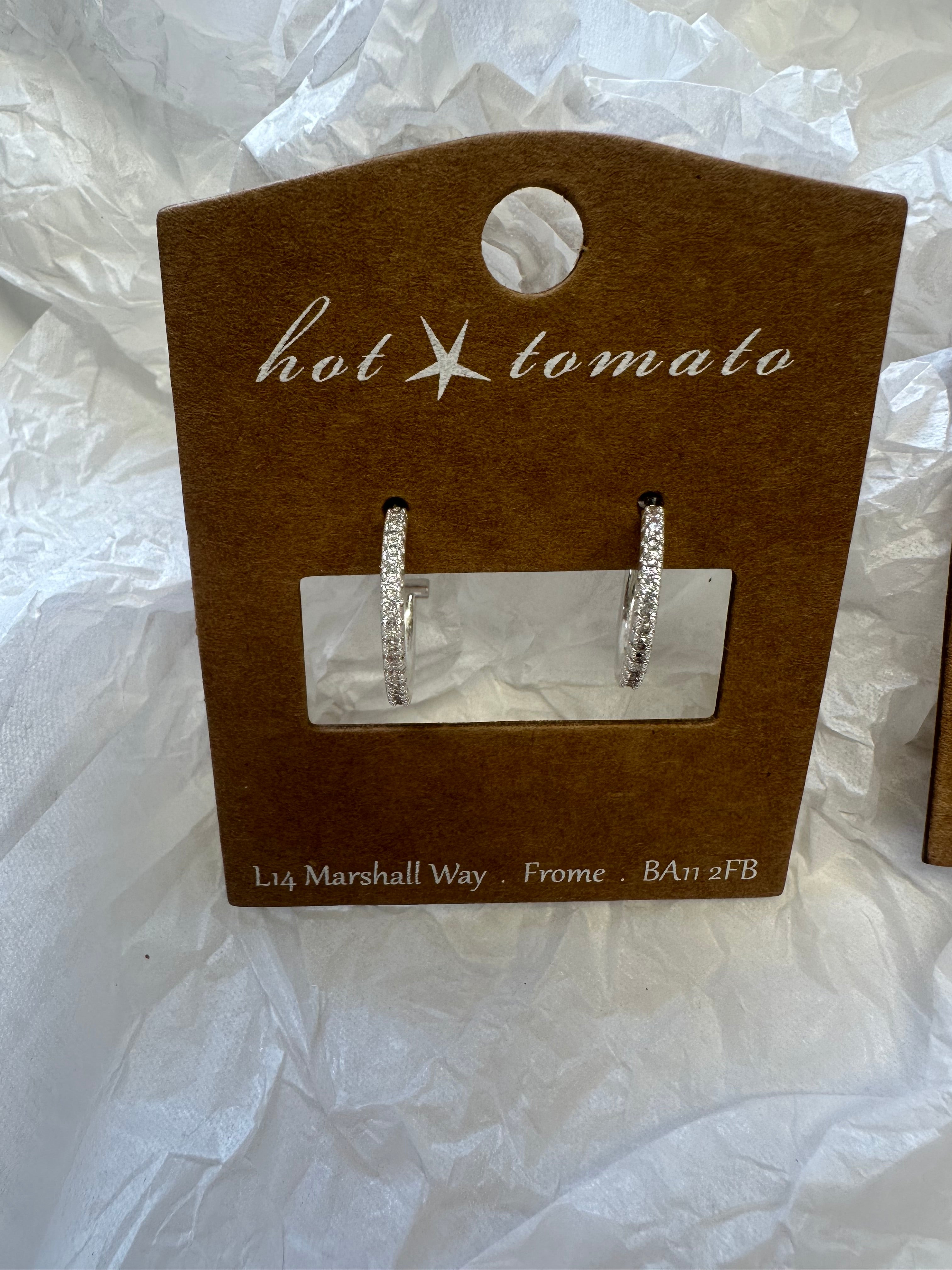 HT Sparkle Hoop Earrings