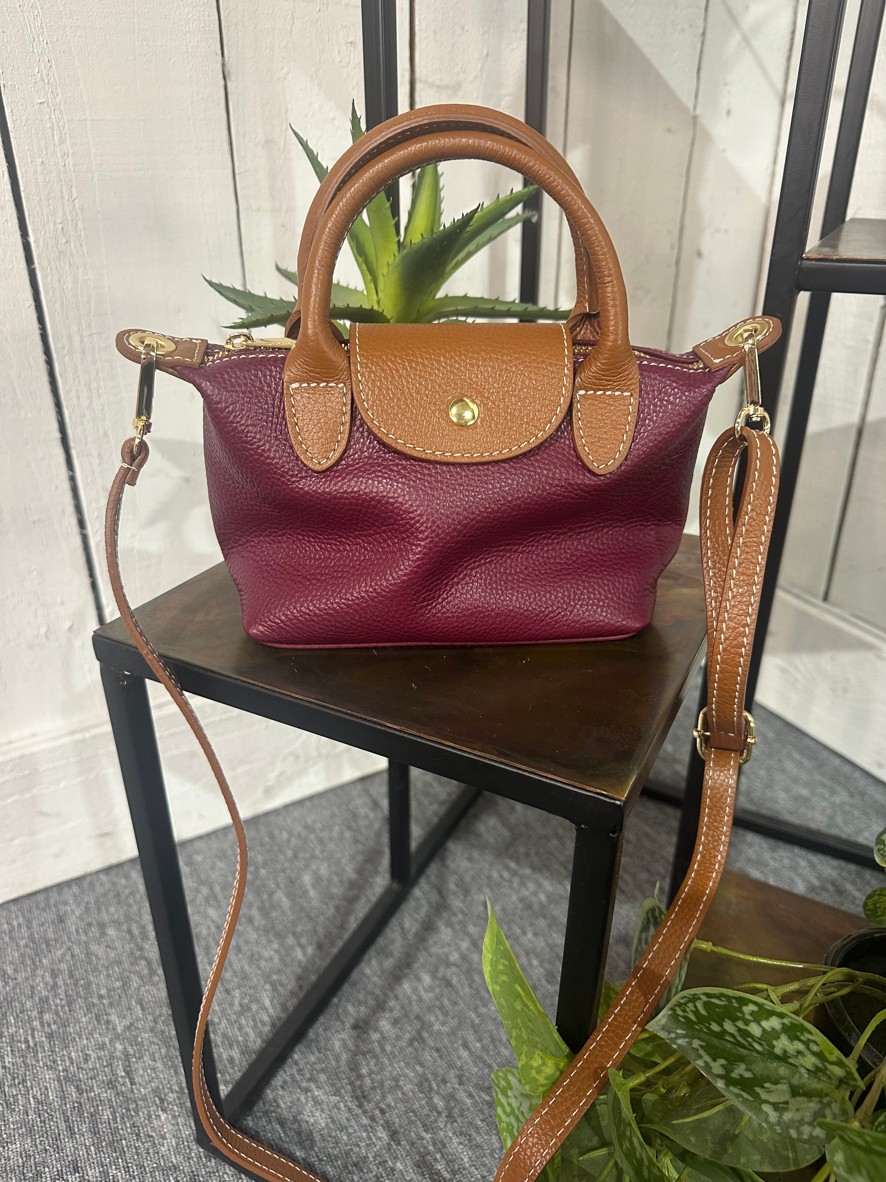 Mini Longchamp Inspired Bag