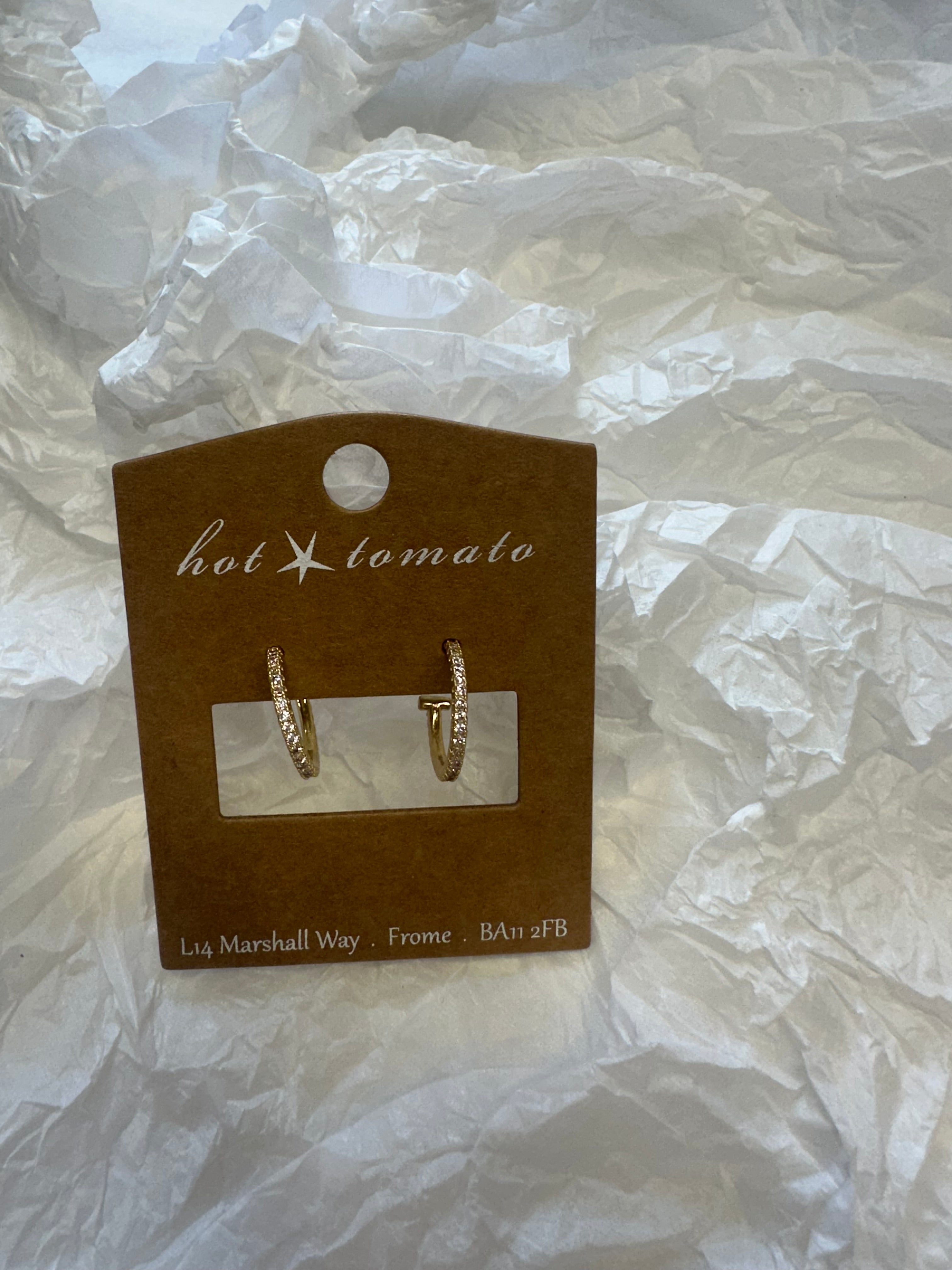 HT Sparkle Hoop Earrings